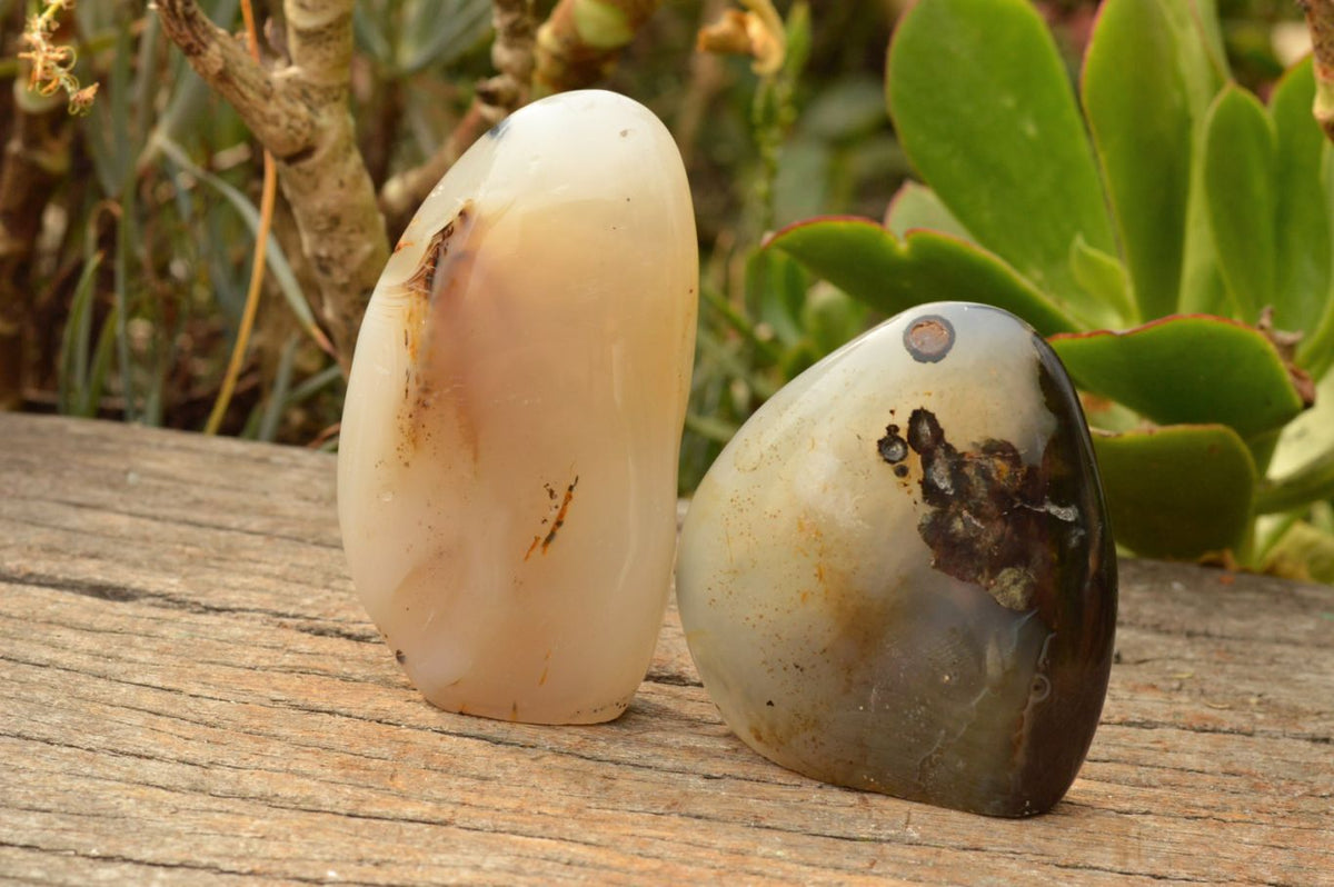 Polished Dendritic Agate Standing Free Forms  x 4 From Moralambo, Madagascar - TopRock