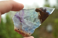 Polished Semi Translucent Watermelon Fluorite Slices x 5 From Uis, Namibia - TopRock