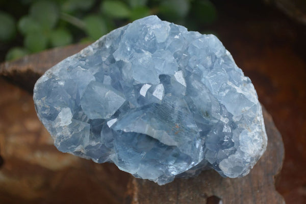 Natural Blue Celestite Crystal Specimens  x 2 From Sakoany, Madagascar - Toprock Gemstones and Minerals 