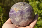 Polished Dream Flower Amethyst Sphere x 1 From Madagascar - TopRock