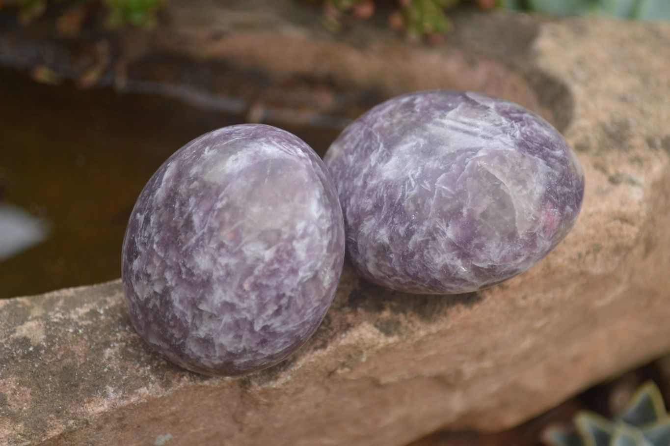 Polished Purple Lepidolite With Pink Tourmaline Points  x 12 From Madagascar - TopRock