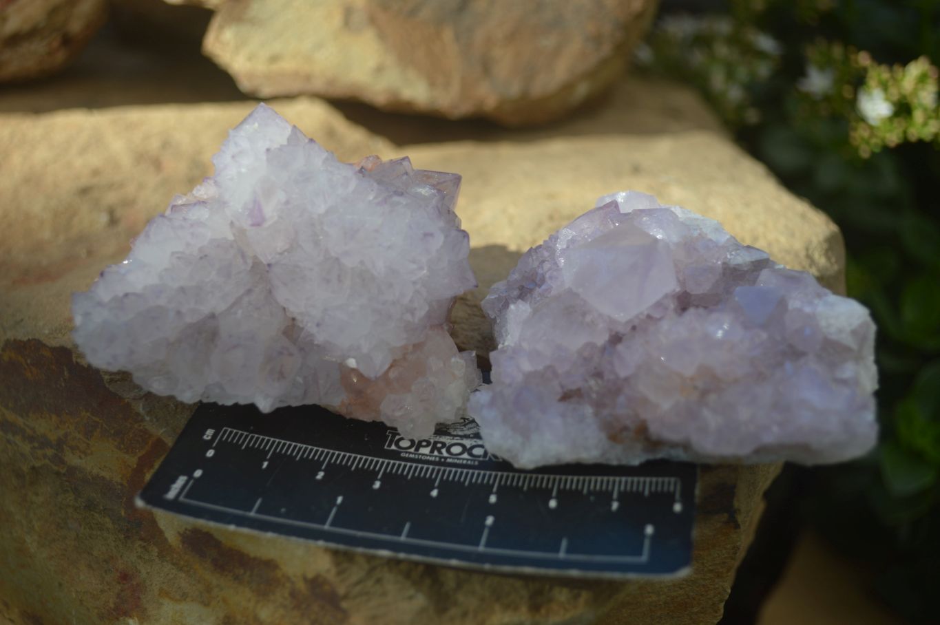 Natural Spirit Amethyst Quartz Clusters x 6 From Boekenhouthoek, South Africa - Toprock Gemstones and Minerals 