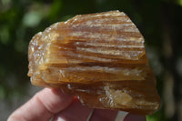 Natural Honey Aragonite Etched & Cobbed Pieces  x 12 From Namibia - Toprock Gemstones and Minerals 