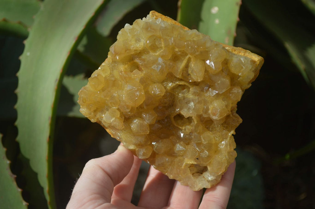 Natural Limonite Quartz Clusters x 3 From Solwezi, Zambia - Toprock Gemstones and Minerals 