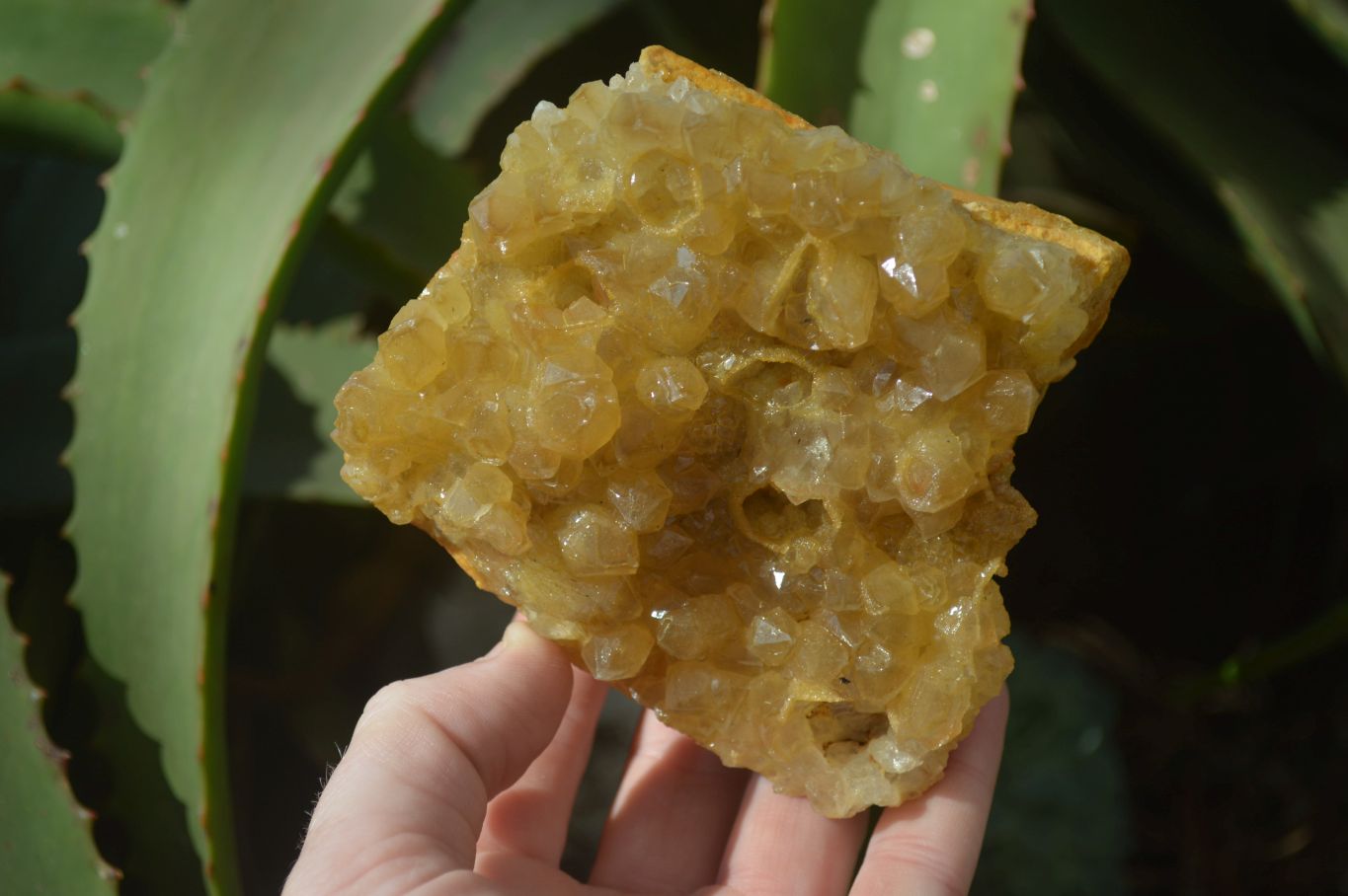 Natural Limonite Quartz Clusters x 3 From Solwezi, Zambia - Toprock Gemstones and Minerals 