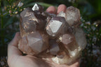 Natural Red Hematoid Quartz Specimens x 3 From Karoi, Zimbabwe - Toprock Gemstones and Minerals 