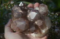 Natural Red Hematoid Quartz Specimens x 3 From Karoi, Zimbabwe - Toprock Gemstones and Minerals 