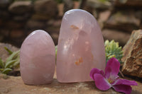Polished Pink Rose Quartz Standing Free Forms x 2 From Ambatondrazaka, Madagascar - TopRock