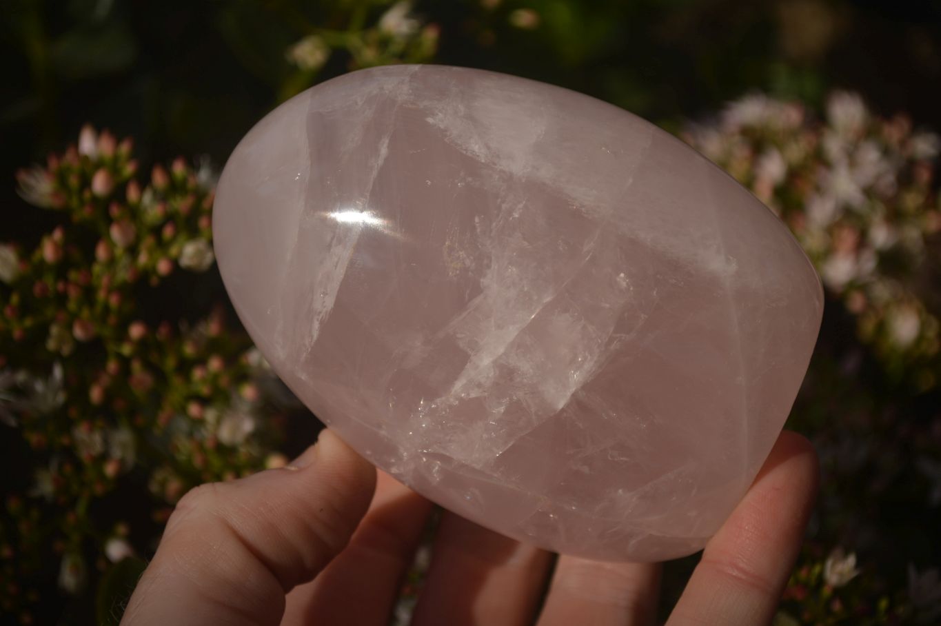 Polished Pink Rose Quartz Standing Free Forms x 3 From Antsirabe, Madagascar - Toprock Gemstones and Minerals 