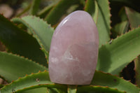 Polished Pink Rose Quartz Standing Free Forms x 2 From Ambatondrazaka, Madagascar - TopRock