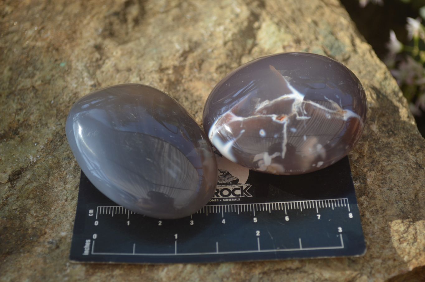 Polished Large Agate Palm Stones  x 1.8 Kg Lot From Madagascar - Toprock Gemstones and Minerals 