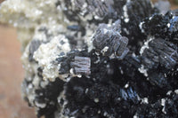 Natural Schorl Black Tourmaline Specimens x 2 From Erongo Mountains, Namibia - TopRock