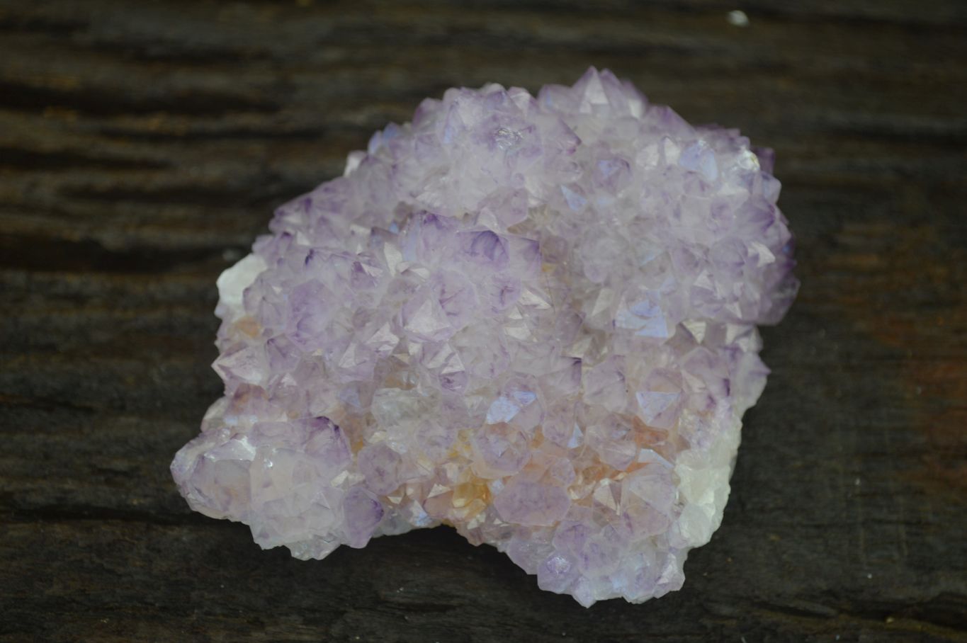 Natural Spirit Amethyst Quartz Clusters x 6 From Boekenhouthoek, South Africa - Toprock Gemstones and Minerals 
