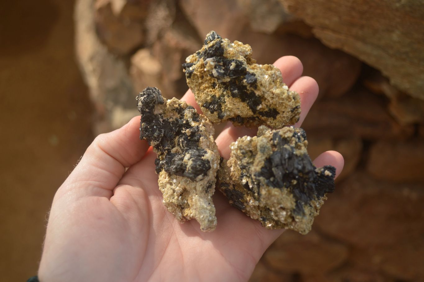 Natural Schorl Black Tourmaline In Vermiculite Mica Specimens x 24 From Erongo, Namibia - Toprock Gemstones and Minerals 