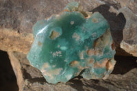 Polished On One Side Emerald Mtorolite Plates x 4 From Mutorashanga, Zimbabwe - Toprock Gemstones and Minerals 