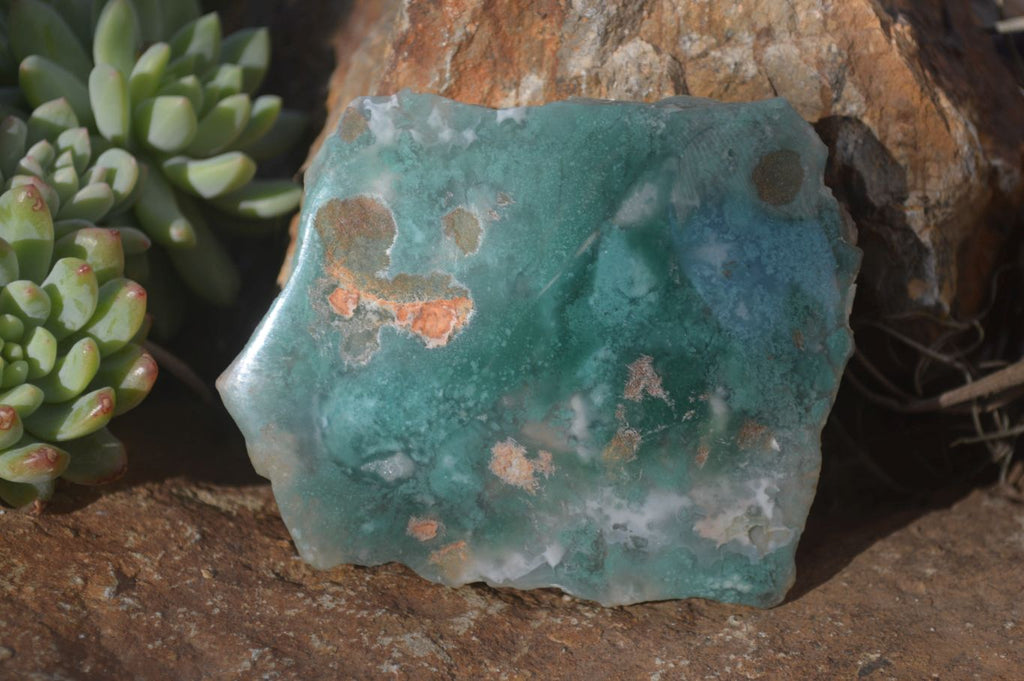 Polished One Side Polished Emerald Mtorolite Plates  x 6 From Zimbabwe - Toprock Gemstones and Minerals 