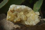 Natural Limonite Quartz Clusters x 3 From Solwezi, Zambia - Toprock Gemstones and Minerals 