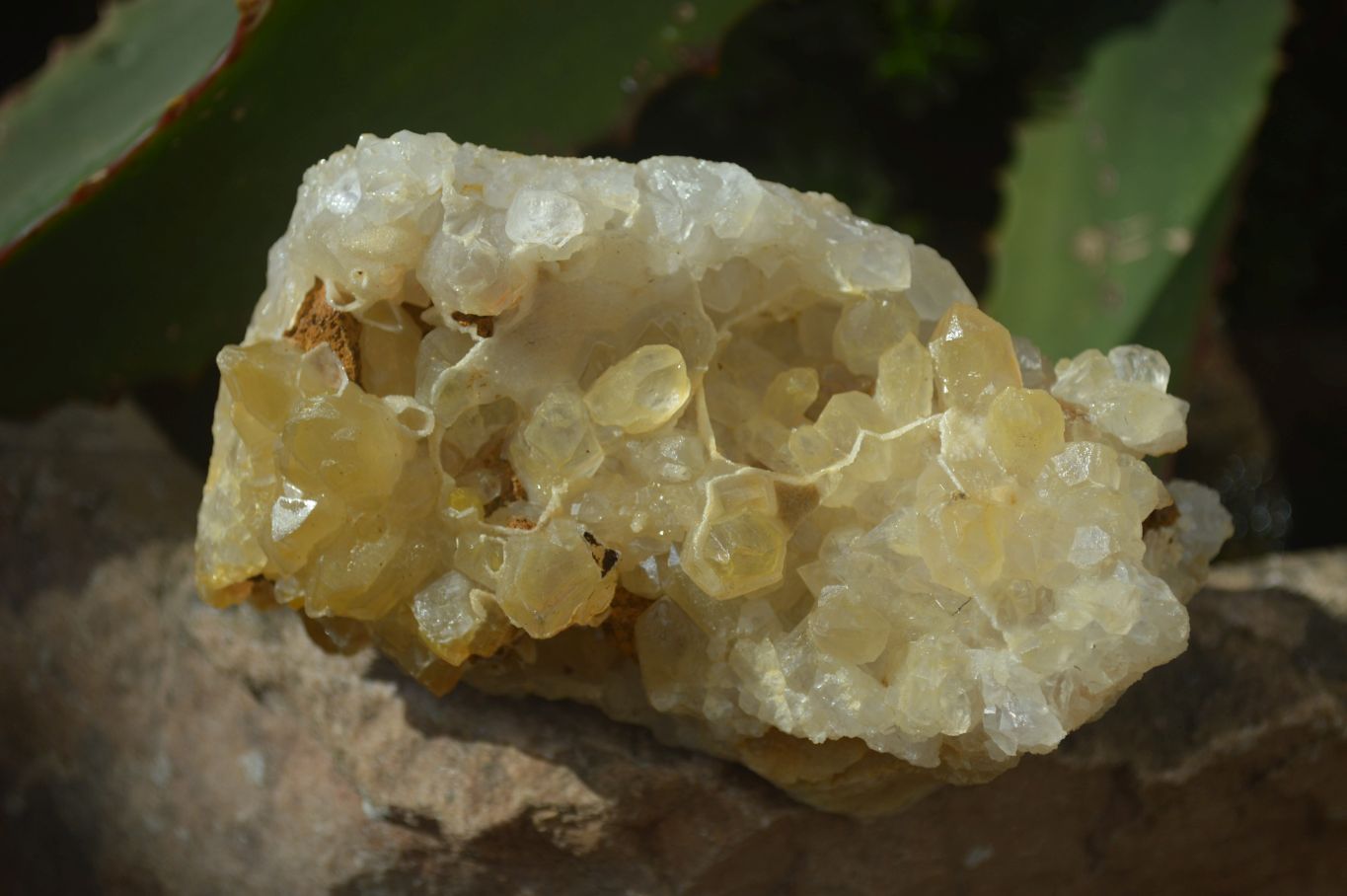 Natural Limonite Quartz Clusters x 3 From Solwezi, Zambia - Toprock Gemstones and Minerals 