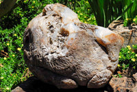 Polished Extra Large Crystal Cantered Agate Geode x 1 From Madagascar - Toprock Gemstones and Minerals 