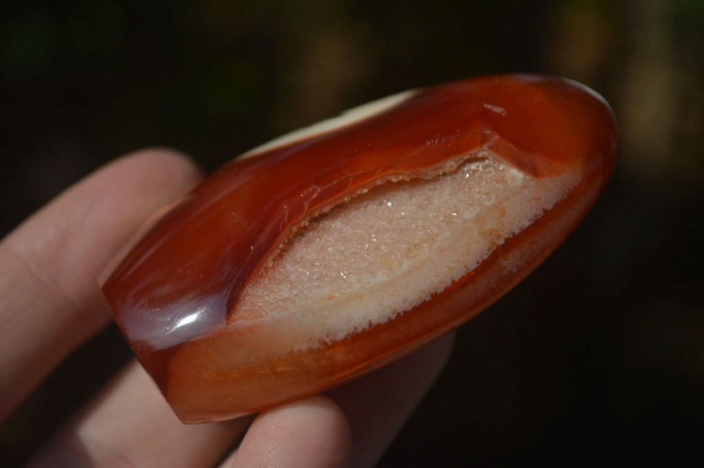 Polished Carnelian Agate Standing Free Forms  x 6 From Madagascar - Toprock Gemstones and Minerals 