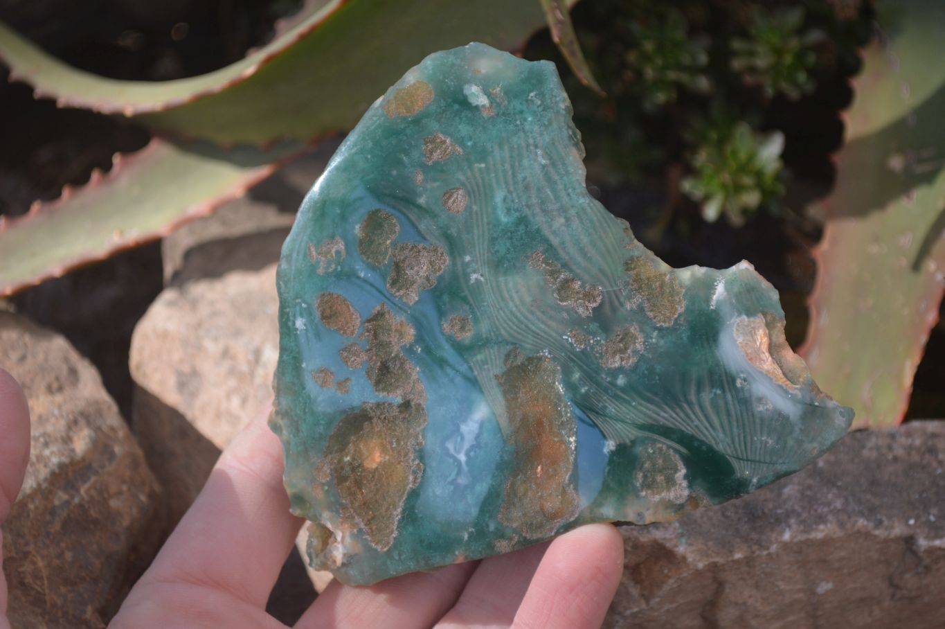 Polished One Side Polished Emerald Mtorolite Plates  x 6 From Zimbabwe - Toprock Gemstones and Minerals 