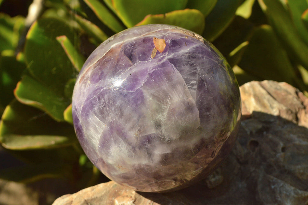 Polished Dream Flower Amethyst Sphere x 1 From Madagascar - TopRock