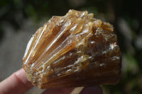 Natural Honey Aragonite Etched & Cobbed Pieces  x 12 From Namibia - Toprock Gemstones and Minerals 