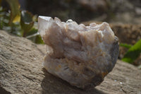 Natural Smokey Quartz Clusters x 2 From Luena, Congo - Toprock Gemstones and Minerals 