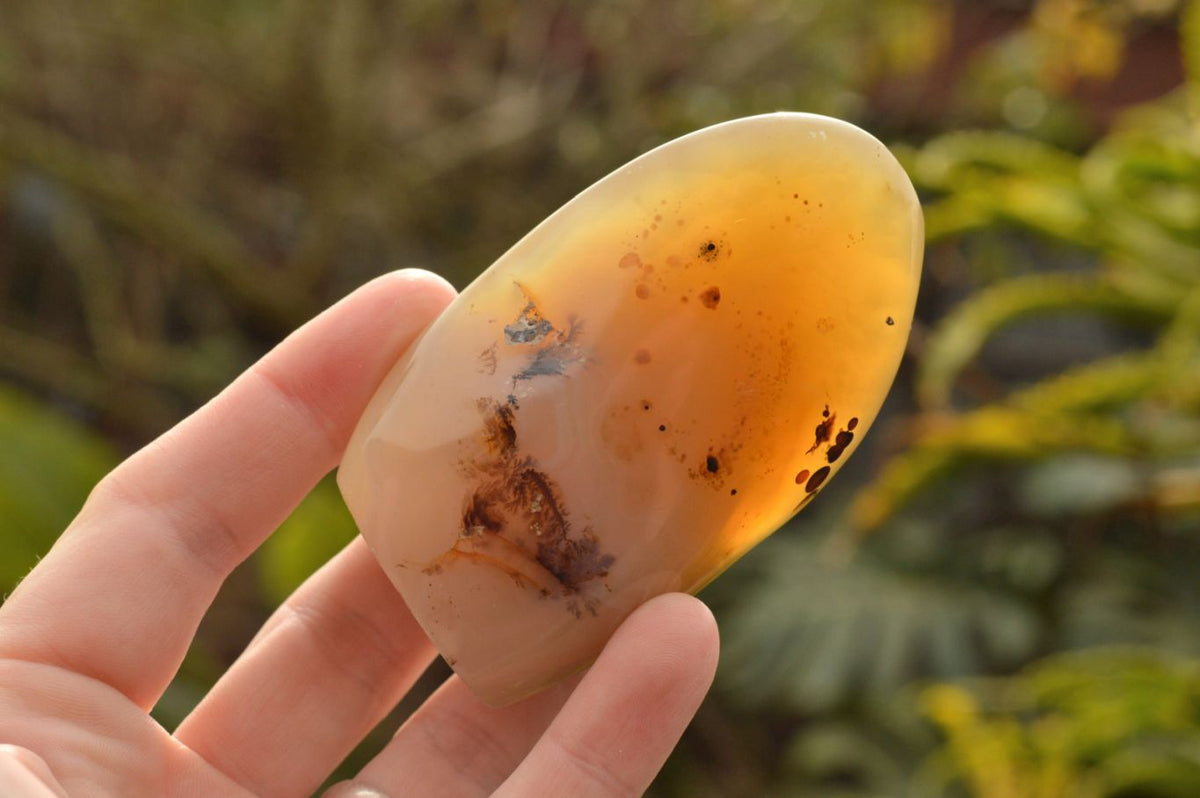 Polished Dendritic Agate Standing Free Forms  x 4 From Moralambo, Madagascar - TopRock