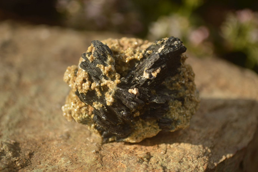 Natural Schorl Black Tourmaline In Vermiculite Mica Specimens x 24 From Erongo, Namibia - Toprock Gemstones and Minerals 