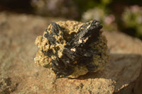 Natural Schorl Black Tourmaline In Vermiculite Mica Specimens x 24 From Erongo, Namibia