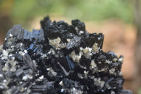 Natural Schorl Black Tourmaline Specimens x 2 From Erongo Mountains, Namibia - TopRock