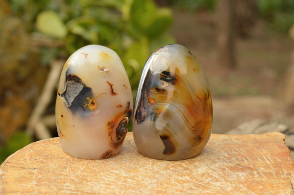 Polished Semi Translucent Dendritic Agate Standing Free Forms  x 6 From Moralambo, Madagascar - TopRock