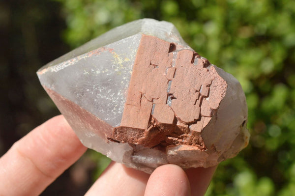 Natural Large Smokey Hematoid Quartz Crystals x 12 From Madagascar - TopRock