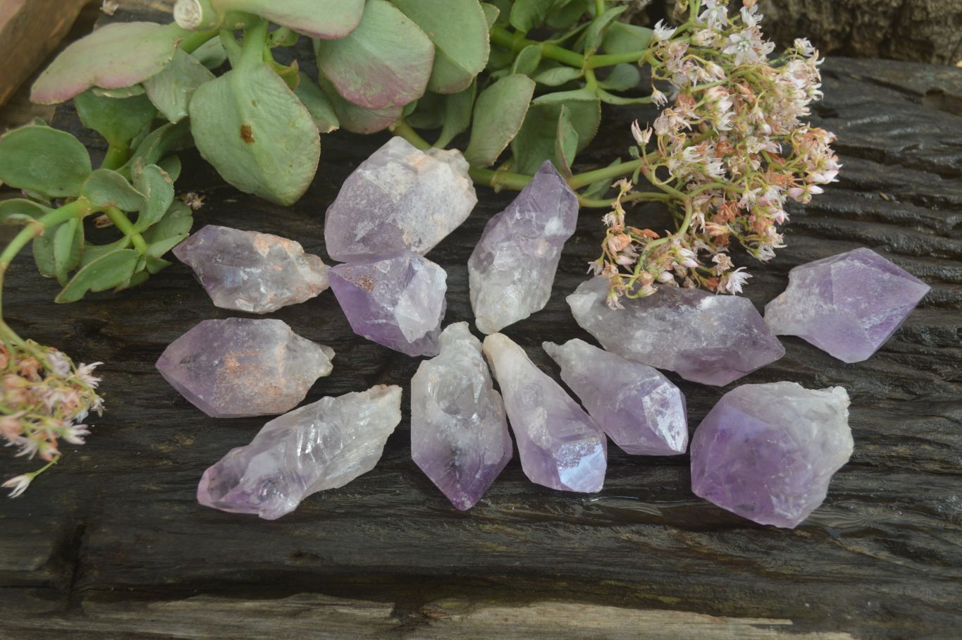 Natural Jacaranda Amethyst Crystals x 35 From Mumbwe, Zambia - Toprock Gemstones and Minerals 
