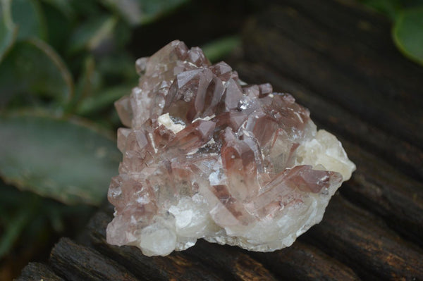 Natural Red Hematoid Phantom Quartz Crystals & Clusters  x 6 From Karoi, Zimbabwe - Toprock Gemstones and Minerals 