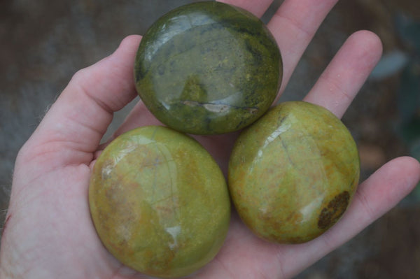 Polished Large Green Opal Palm Stones  x 12 From Madagascar - Toprock Gemstones and Minerals 