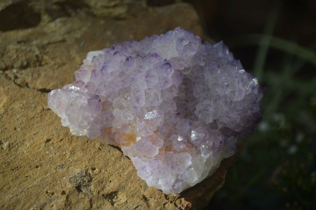 Natural Spirit Amethyst Quartz Clusters x 6 From Boekenhouthoek, South Africa - Toprock Gemstones and Minerals 