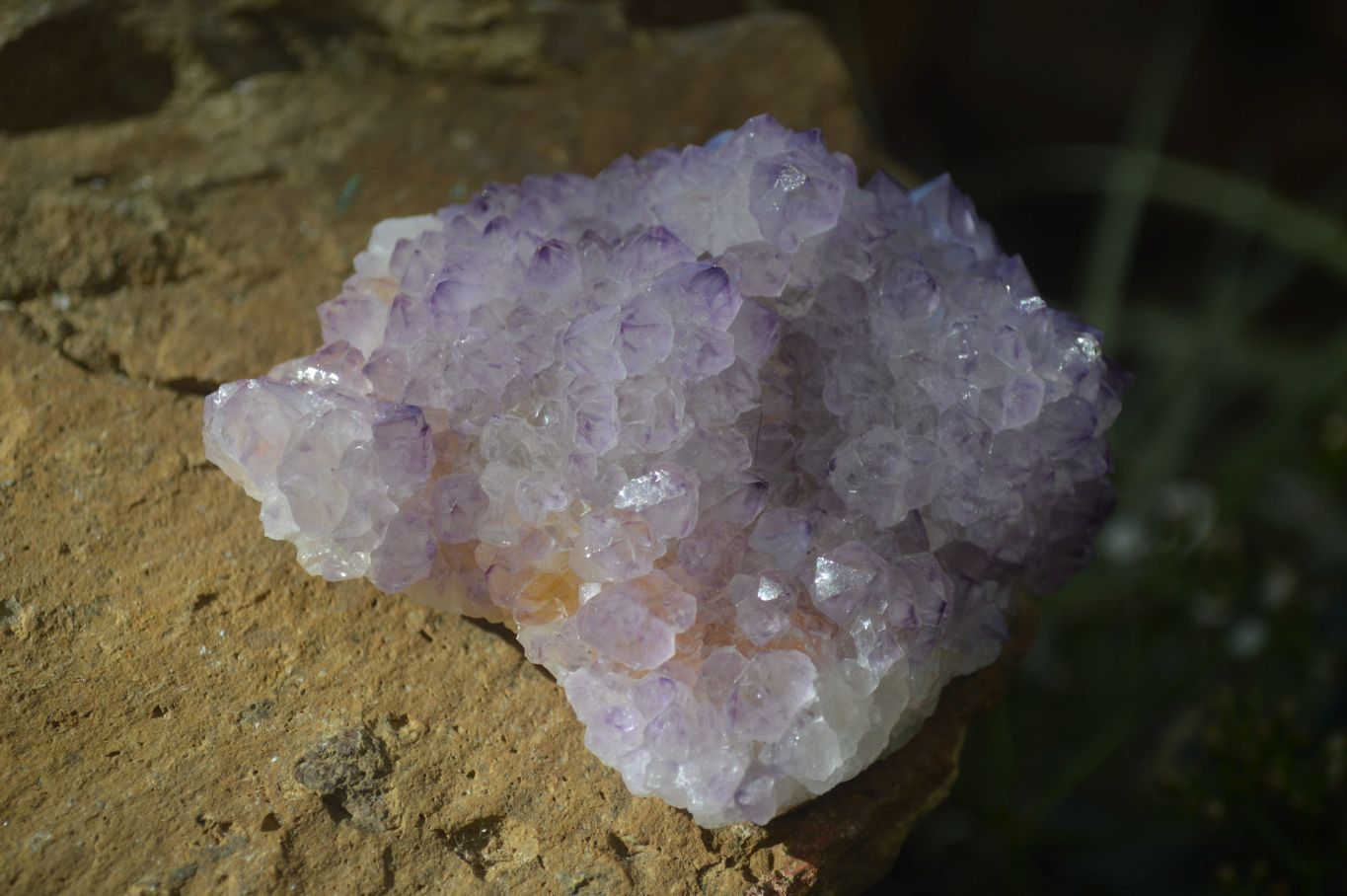Natural Spirit Amethyst Quartz Clusters x 6 From Boekenhouthoek, South Africa - Toprock Gemstones and Minerals 