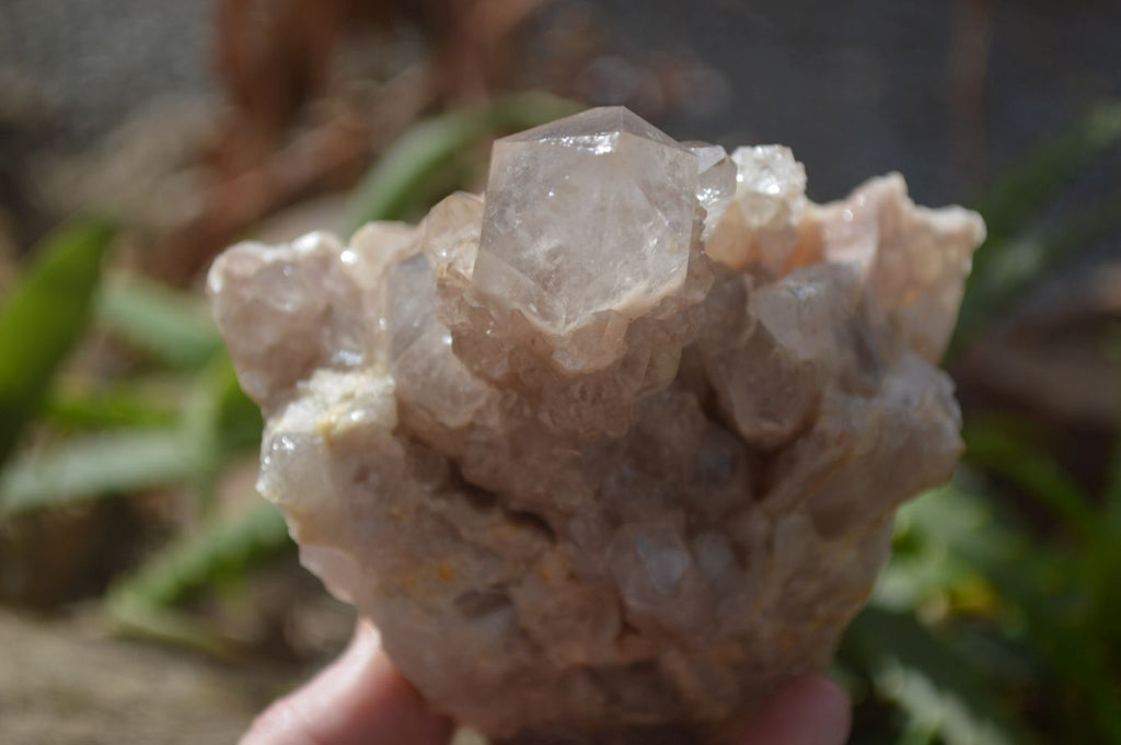 Natural Smokey Quartz Clusters x 2 From Luena, Congo - Toprock Gemstones and Minerals 