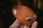 Polished Carnelian Agate Standing Free Forms  x 6 From Madagascar - Toprock Gemstones and Minerals 