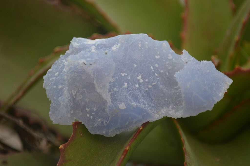 Natural Etched Blue Chalcedony Specimens  x 12 From Nsanje, Malawi - Toprock Gemstones and Minerals 