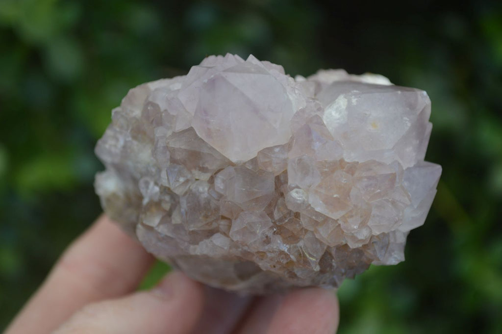 Natural Spirit Amethyst Quartz Clusters x 6 From Boekenhouthoek, South Africa - Toprock Gemstones and Minerals 