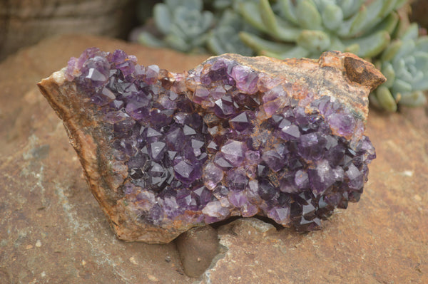 Natural Amethyst Crystal Centred Geodes  x 6 From Zululand, South Africa - TopRock
