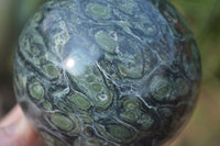 Polished Stromatolite / Kambamba Jasper Spheres  x 3 From Mahajanga, Madagascar - Toprock Gemstones and Minerals 