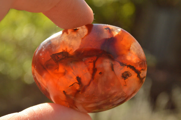 Polished Deep Red Carnelian Agate Palm Stones x 24 From Madagascar - TopRock