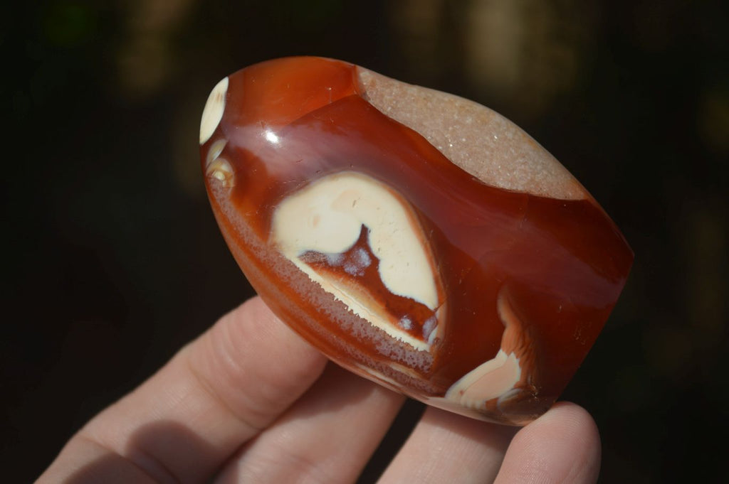 Polished Carnelian Agate Standing Free Forms  x 6 From Madagascar - Toprock Gemstones and Minerals 
