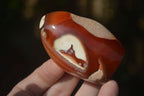 Polished Carnelian Agate Standing Free Forms  x 6 From Madagascar - Toprock Gemstones and Minerals 