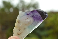 Polished Semi Translucent Watermelon Fluorite Slices x 5 From Uis, Namibia - TopRock