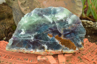 Polished Semi Translucent Watermelon Fluorite Slices x 5 From Uis, Namibia - TopRock